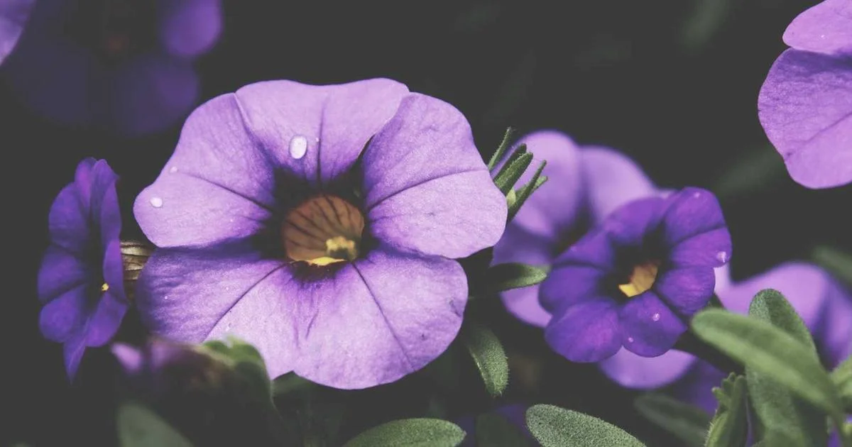 Reclaim Your Digital Life: 5 Signs to Ditch Big Tech